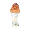 Buy Blue Pulaski Mushroom Online